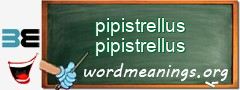 WordMeaning blackboard for pipistrellus pipistrellus